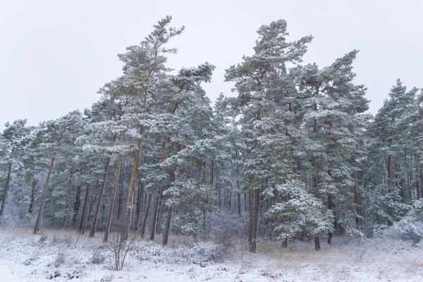 Landschaft Winterlichen Gewand — Stockfoto