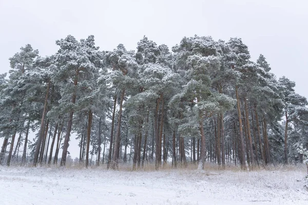 冬季服装中的风景 — 图库照片