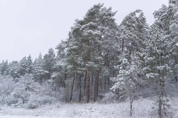 Landschap Winterse Gewaad — Stockfoto