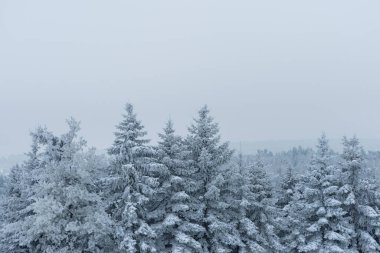 Kışlık giysiler içinde manzara