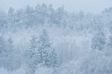 Kışlık giysiler içinde manzara