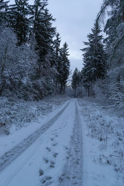 Paisaje Atuendo Invernal —  Fotos de Stock