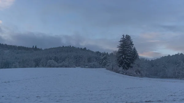 Landschap Winterse Gewaad — Stockfoto