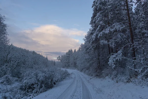 Landscape Wintry Garb — Stock Photo, Image