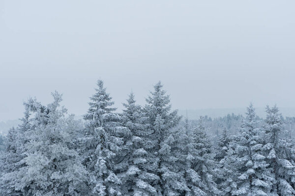 ландшафт в зимней одежде