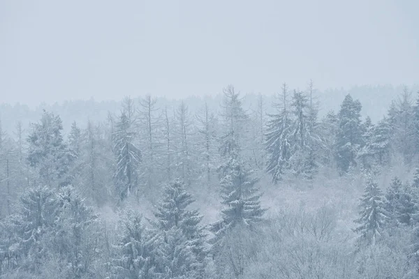 Landschaft Winterlichen Gewand — Stockfoto