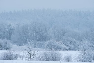 Kışlık giysiler içinde manzara