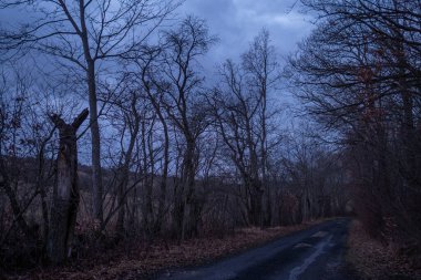 Kışın karsız manzara