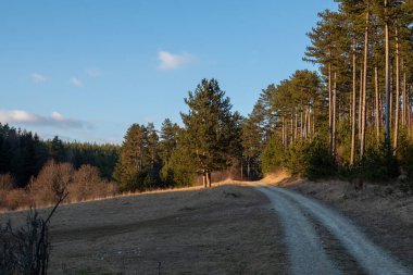 Kışın karsız manzara