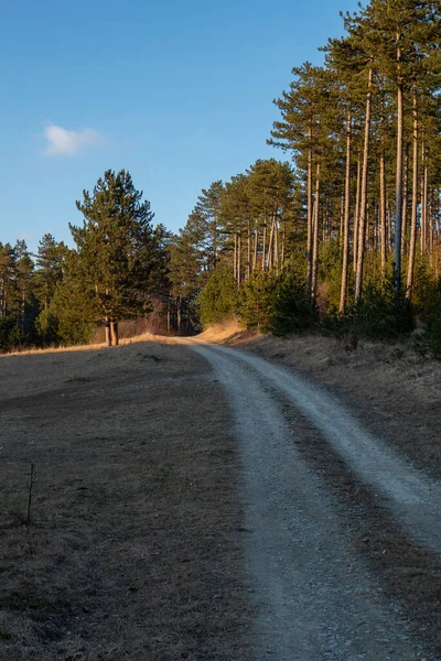 Paysage Hiver Sans Neige — Photo