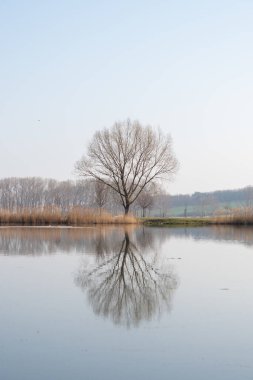 Kışın karsız manzara