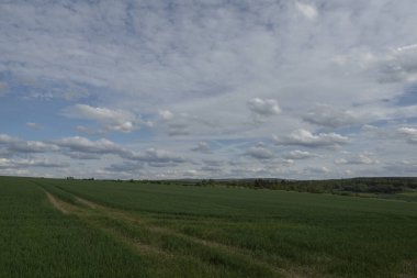 Yaz zamanı manzara.