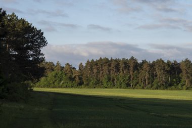 Yaz zamanı manzara.