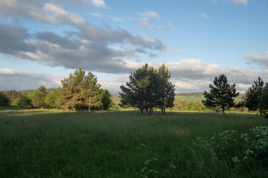 Yaz zamanı manzara.