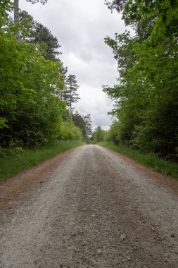 Yaz zamanı manzara.