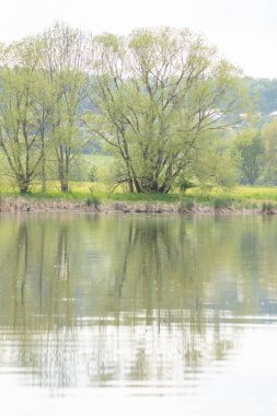idyllic landscape in summer