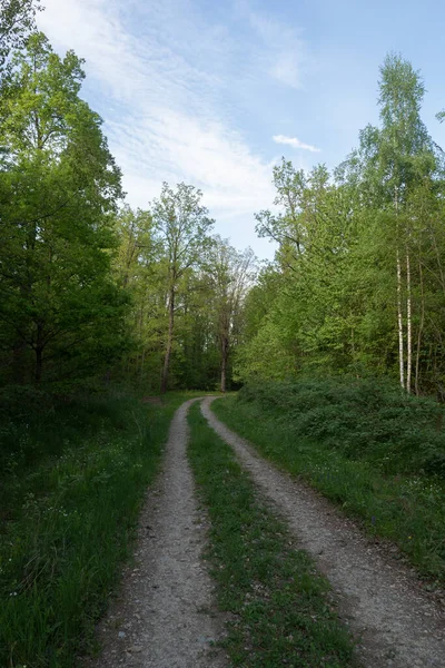 Landschaft Zur Sommerzeit — Stockfoto