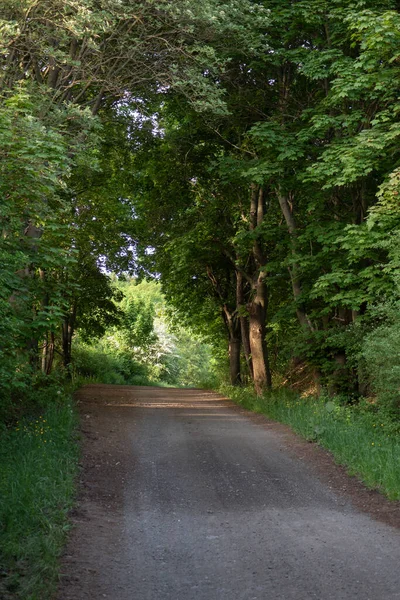 Landschaft Zur Sommerzeit — Stockfoto