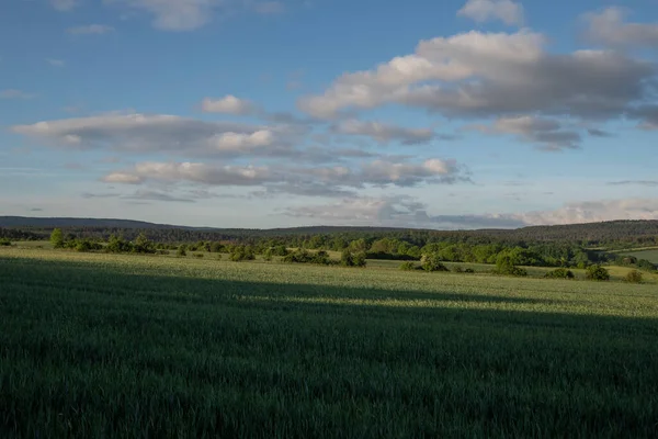 Paisaje Hora Verano —  Fotos de Stock