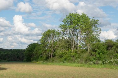 Yaz zamanı manzara.