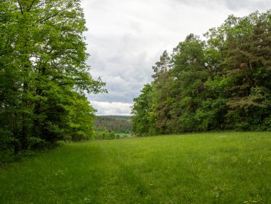 idyllic landscape in summer