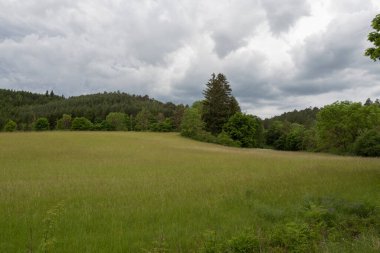 idyllic landscape in summer