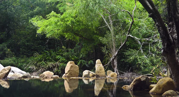 Pietre e alberi verdi sopra specchio d'acqua, Vietnam — Foto Stock