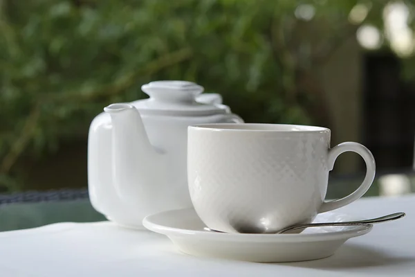 Tazza da tè e teiera — Foto Stock