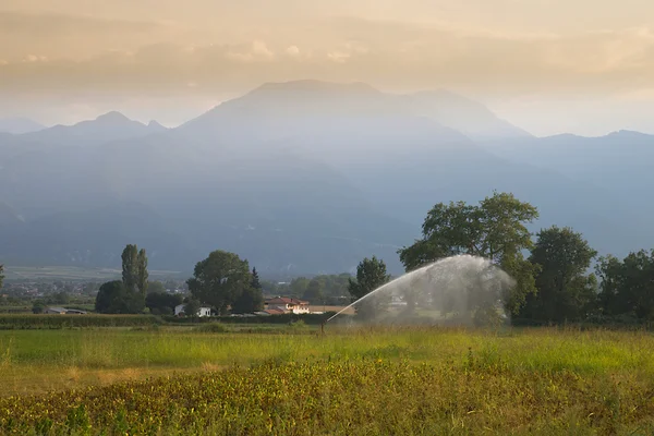 Irrigation of fields into the sunset — Stock Photo, Image