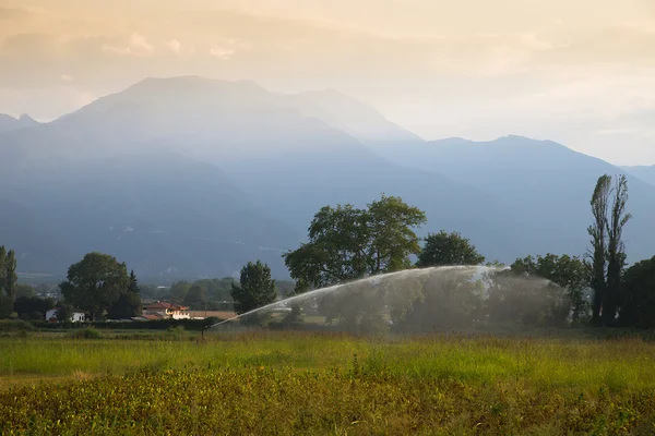 Irrigating a farm field in the mountains — Stock Photo, Image