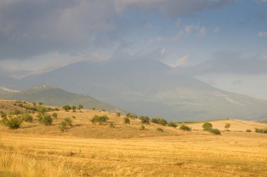 gün batımında dağlarda bir sarı alanlar