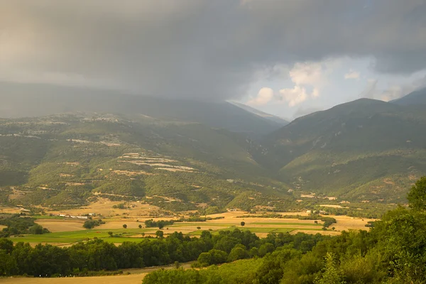 Hermoso paisaje con campos amarillos al atardecer —  Fotos de Stock