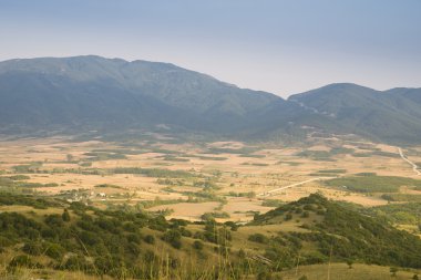 Sarı alanlar ile peyzaj