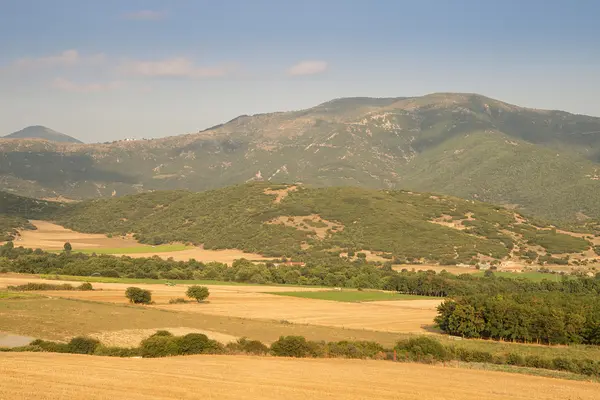 A yellow fields in the mountains at sunset — Stock Photo, Image