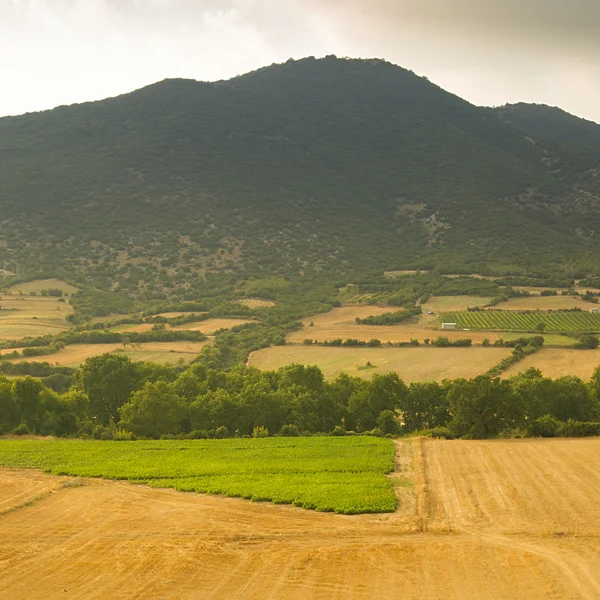 En gård fältet i bergen — Stockfoto
