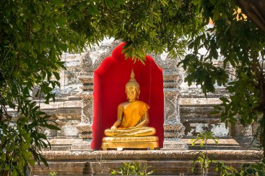 Altın buddha heykeli Tapınağı, chiang mai, Tayland.