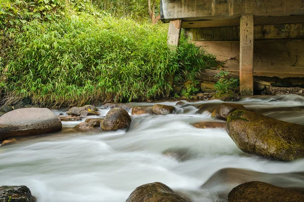 Bach im Wald von Thailand — Stockfoto