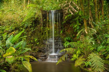 Tayland orman şelale. milli park doi Inthanon