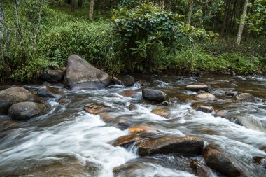 Tayland orman akarsu. milli park doi Inthanon