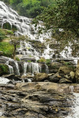 şelale mae seni Tayland orman. milli park doi Inthanon