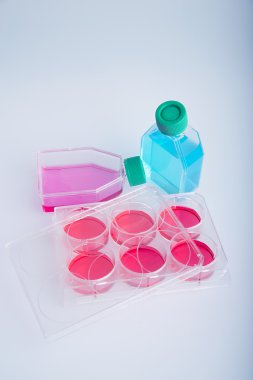 laboratuvar test tüpleri hücre ekimi, bilim laboratuarında çalışan için.