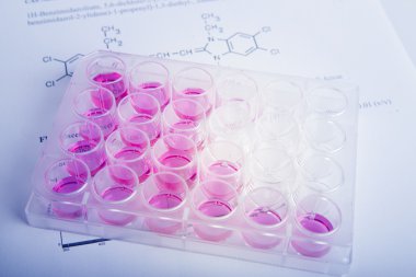 hücre kültürü floresan analizi için. biyokimyasal araştırma için plastik levha.