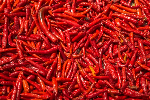Red hot chili peppers background. — Stock Photo, Image