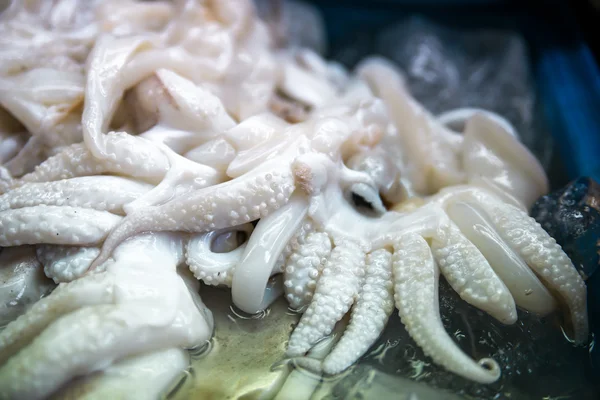 Verse octopus en inktvis in markt — Stockfoto