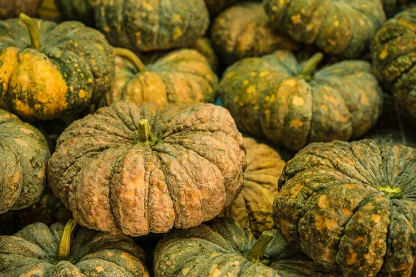 Thai pumpkins in the market — Stock Photo, Image