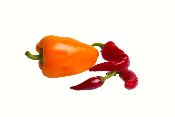 Sweet red pepperand chili isolated on white background — Stock Photo, Image