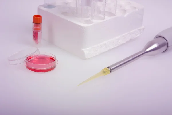 Labware plastico e pipetta automatica per la ricerca scientifica . — Foto Stock
