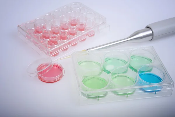 Plastic labware and automatic pipette for scientific research. — Stock Photo, Image