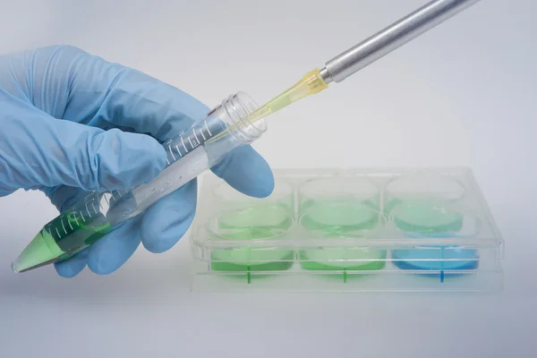 Biochemical research laboratoty, using 6-well plates — Stock Photo, Image