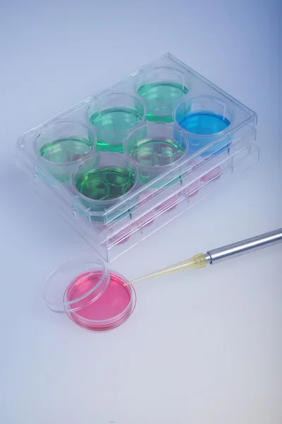 Labware plastico e pipetta automatica per la ricerca scientifica. Analisi biochimica della coltura cellulare . Foto Stock Royalty Free